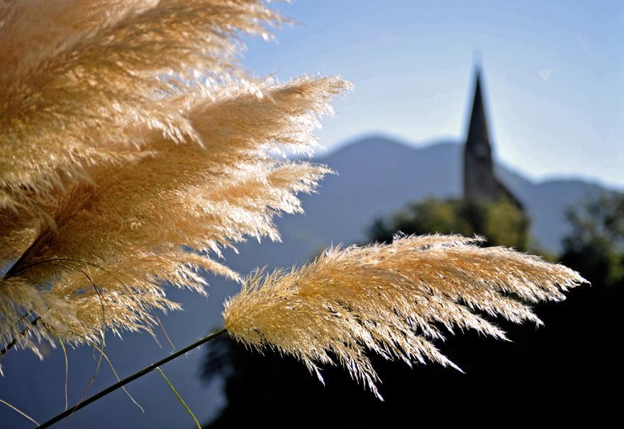 Tollhof Villa Bolzano Exterior foto