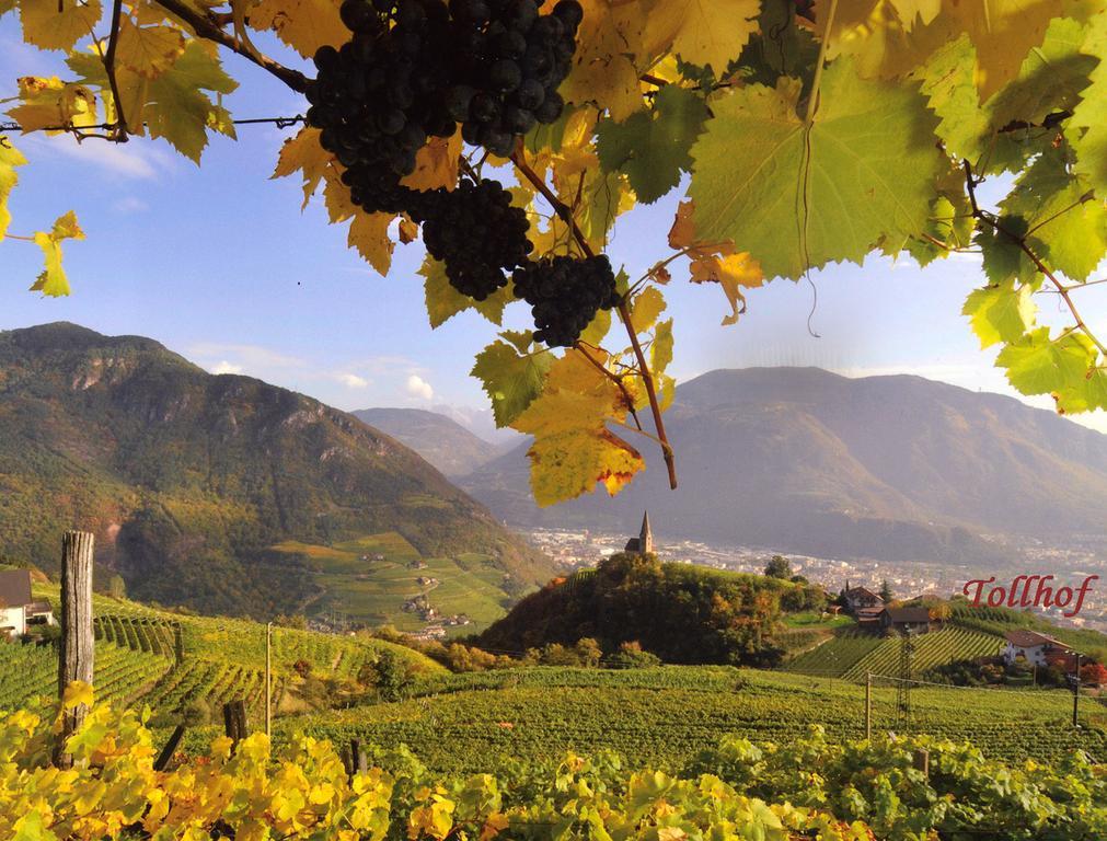 Tollhof Villa Bolzano Exterior foto